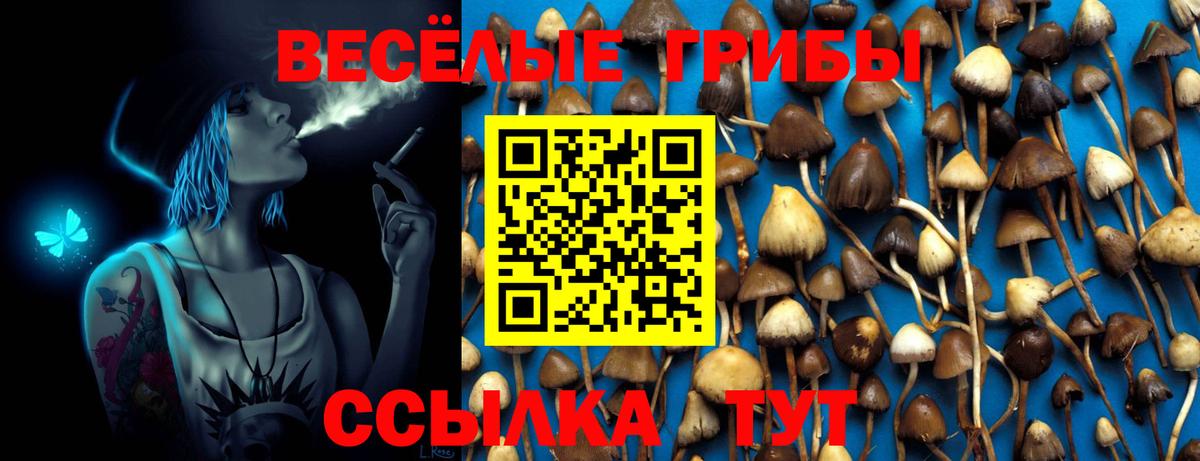 Псилоцибиновые грибы Psilocybine cubensis  Вход с VPN  Галлюциногенные грибы прущие грибы  Реж 